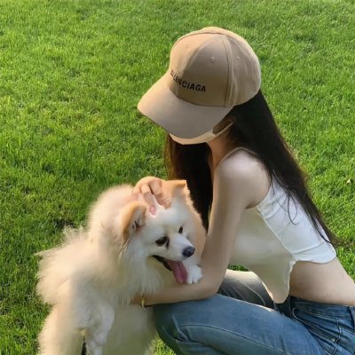 高速路上一只猫